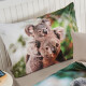 4Home Povlečení Koala bear renforcé, 140 x 200 cm, 70 x 90 cm - thumb (2)