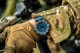 Traser P99 Q Tactical Blue Nato - thumb (15)