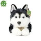 Rappa Plyšový pes husky, 36 cm ECO-FRIENDLY - thumb (1)