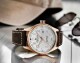 Alpina Startimer Pilot Automatic AL-525S4S4 - thumb (15)