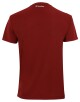 Pánské tričko Tecnifibre  Club Tech Tee Cardinal L - thumb (2)
