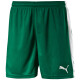Pánské šortky Puma  Pitch  bílo-zelená, L - thumb (2)