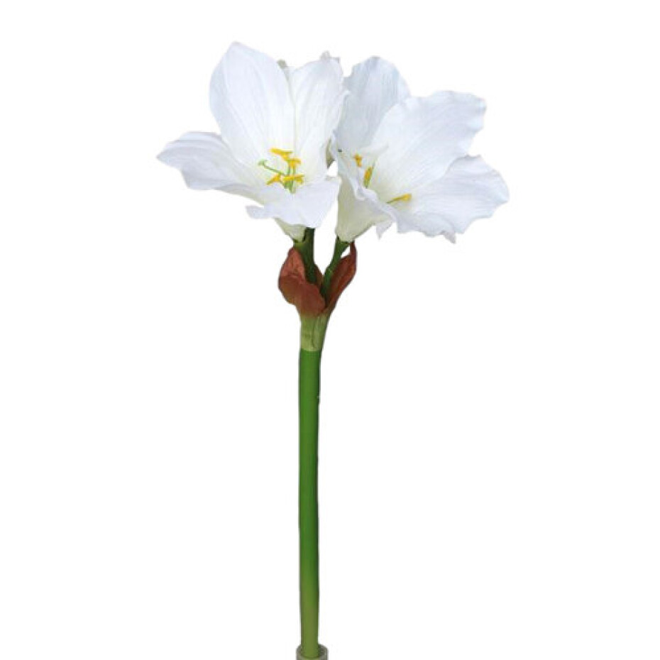 Umělá Amarylis bílá, 52 cm - main (0)