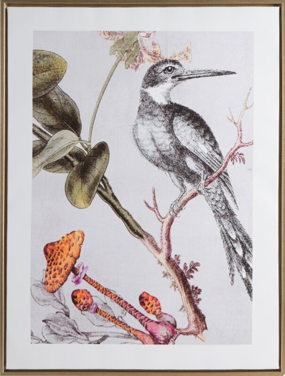 ArtFir Obraz BIRD 636 | bílá 45 x 60 cm - main (0)