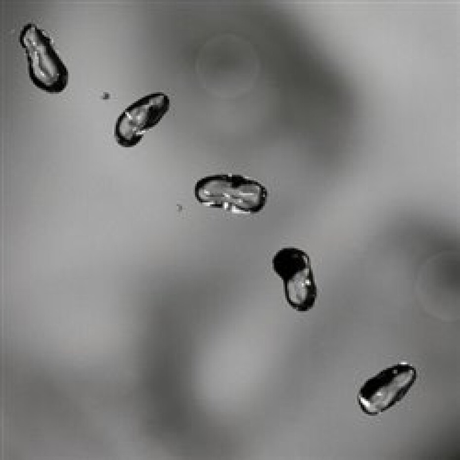Up - Peter Gabriel - main (0)