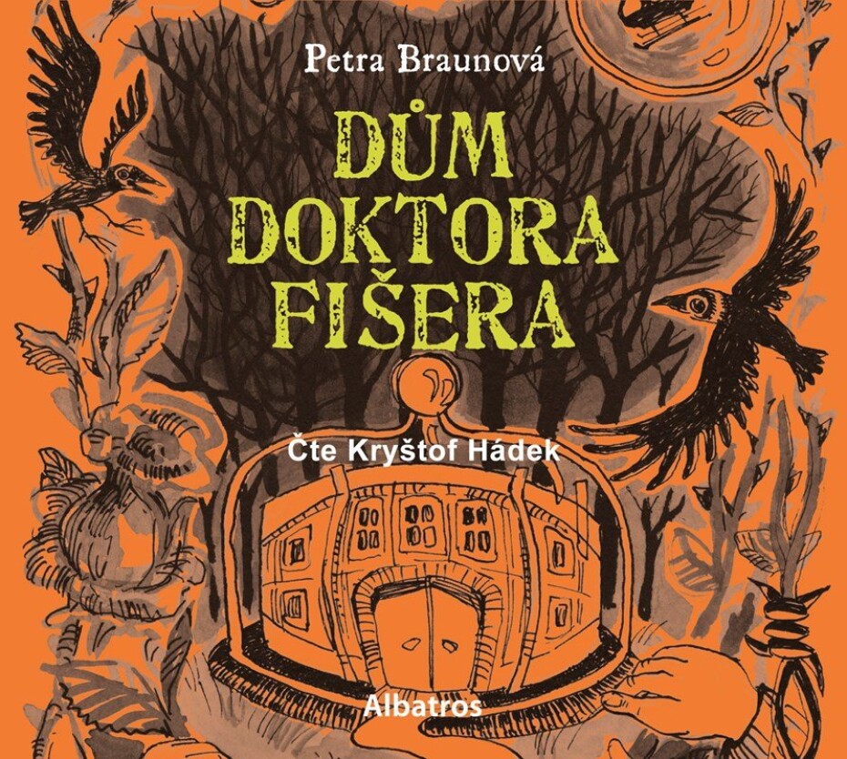 Dům doktora Fišera (audiokniha pro děti) - Petra Braunová - main (0)