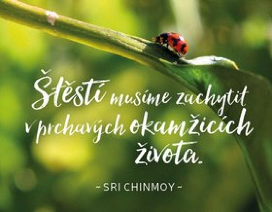 Štěstí musíme zachytit v prchavých okamžicích života - Sri Chinmoy - main (0)