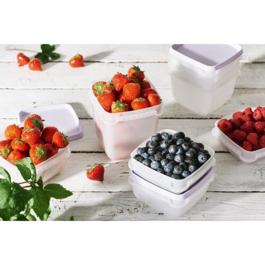SmartStore Sada plastových dóz Freezer 2 ks, levandule, 1200 ml, 1200 ml - main (1)