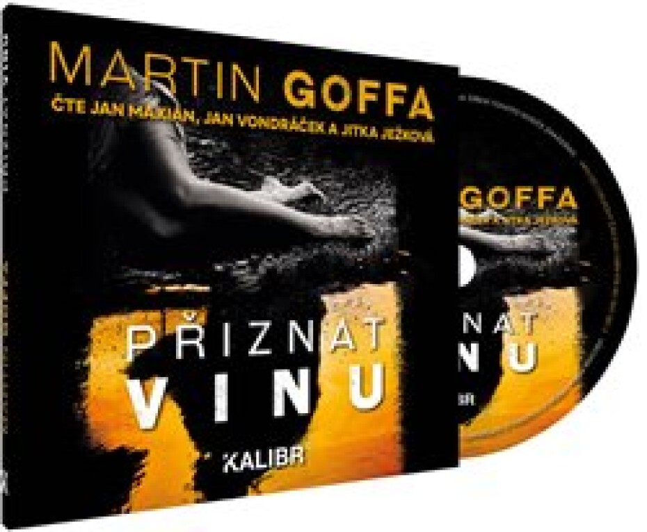 Přiznat vinu, CD - Martin Goffa - main (0)