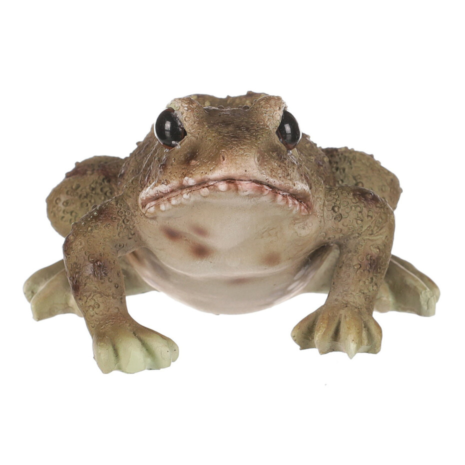 Zahradní dekorace Žába, 10 x 6 x 8 cm, polyresin - main (1)