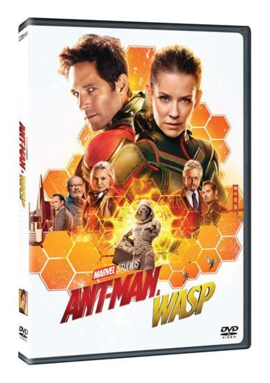 Ant-Man a Wasp DVD - main (0)