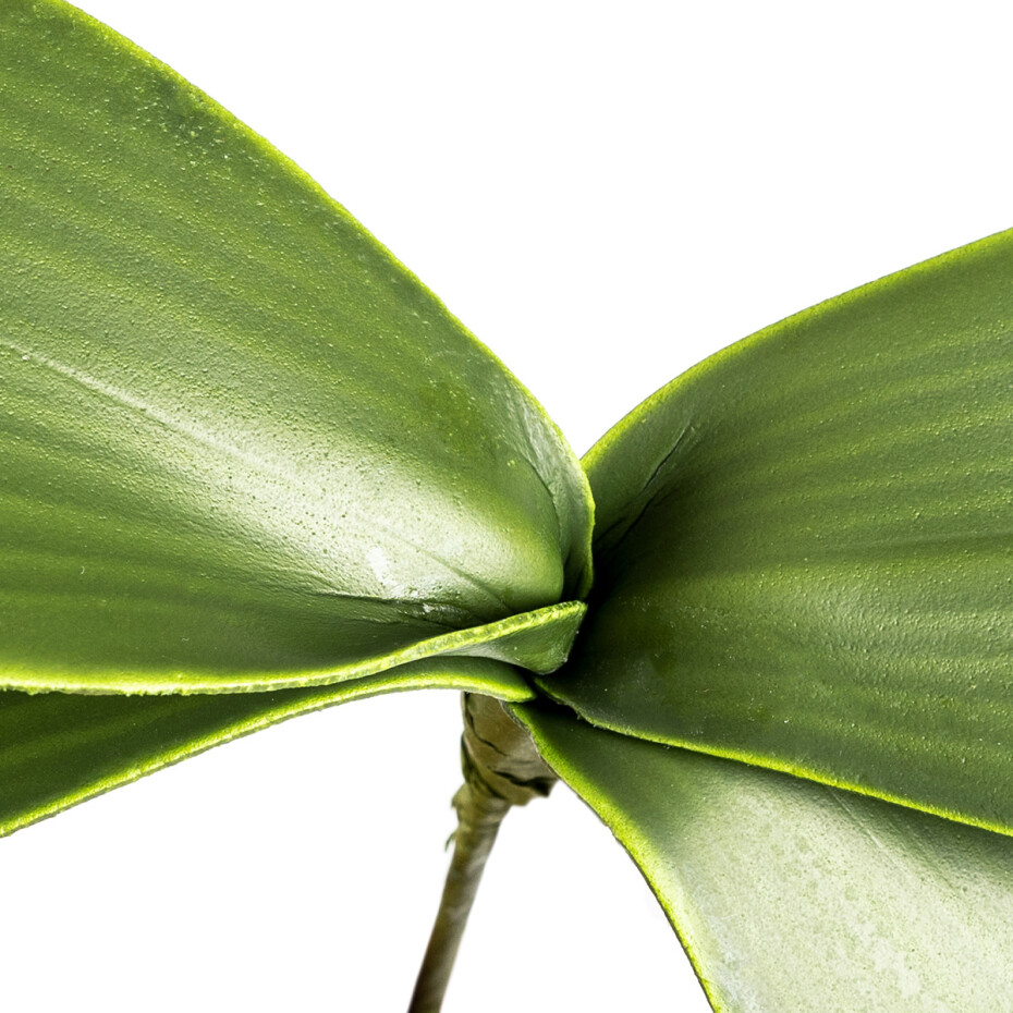 Umělý List orchideje, v. 20 cm  - main (1)