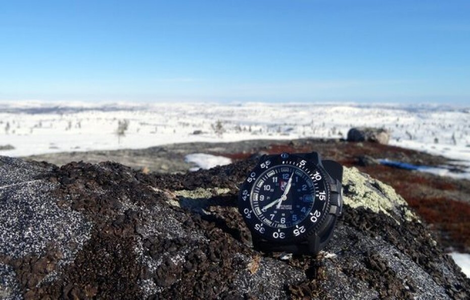 Luminox 3001.F - main (23)