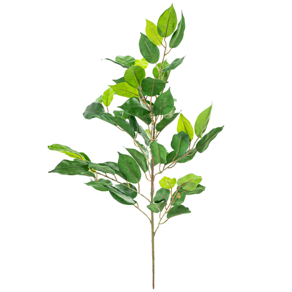 Umělá vetěv Fíkusu, 62 cm - main (0)