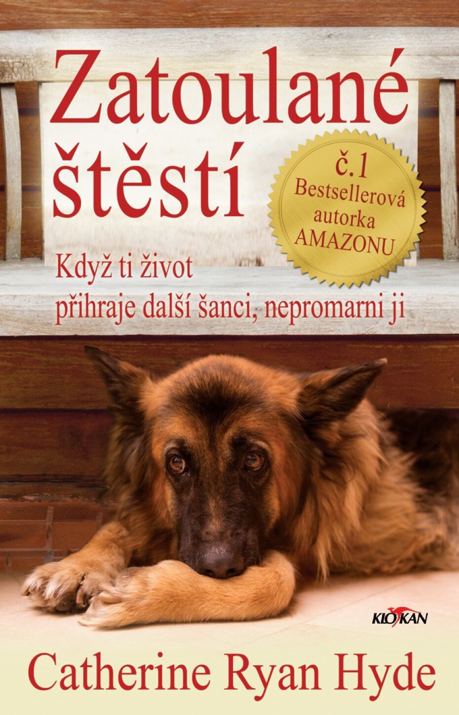 Zatoulané štěstí - Když ti život přihraje další šanci, nepromarni ji - Catherine Ryan Hyde - main (0)