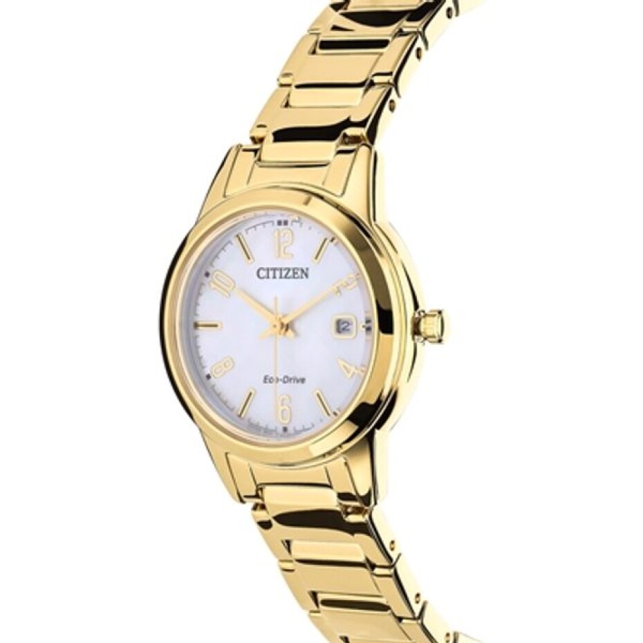 Citizen Eco-Drive Elegance Ladies FE1242-78D - main (3)