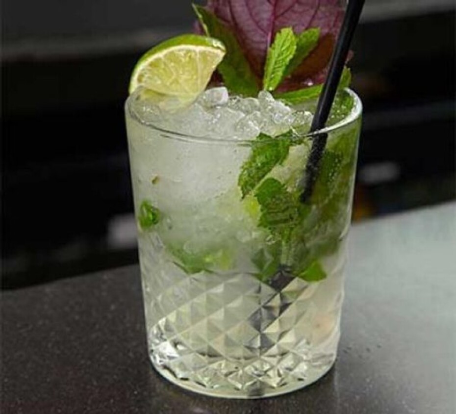 Seiko Presage SRPE45J1 Cocktail Time Mojito - main (11)