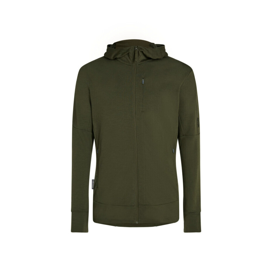 Pánská mikina Icebreaker Merino 260 Quantum IV LS Zip Hoodie Loden S - main (0)