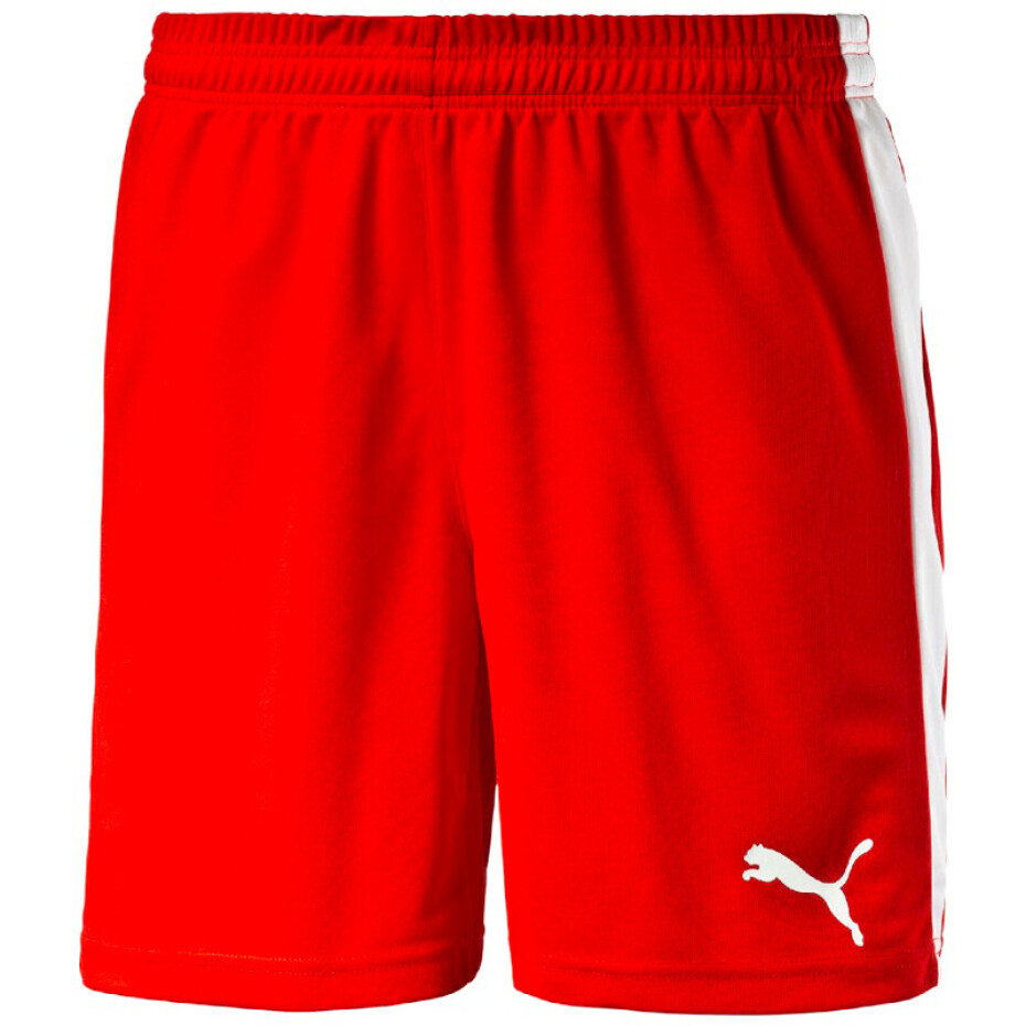 Pánské šortky Puma  Pitch  bílo-zelená, L - main (11)