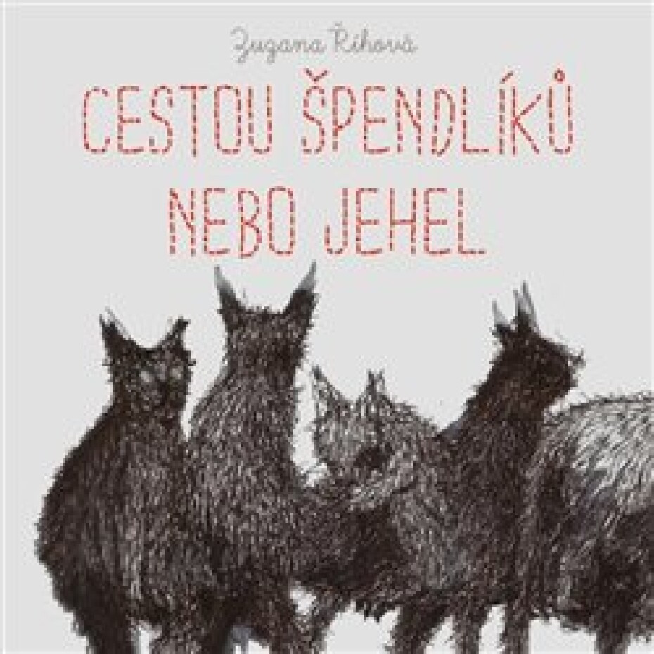 Cestou špendlíků nebo jehel - Zuzana Říhová - main (0)