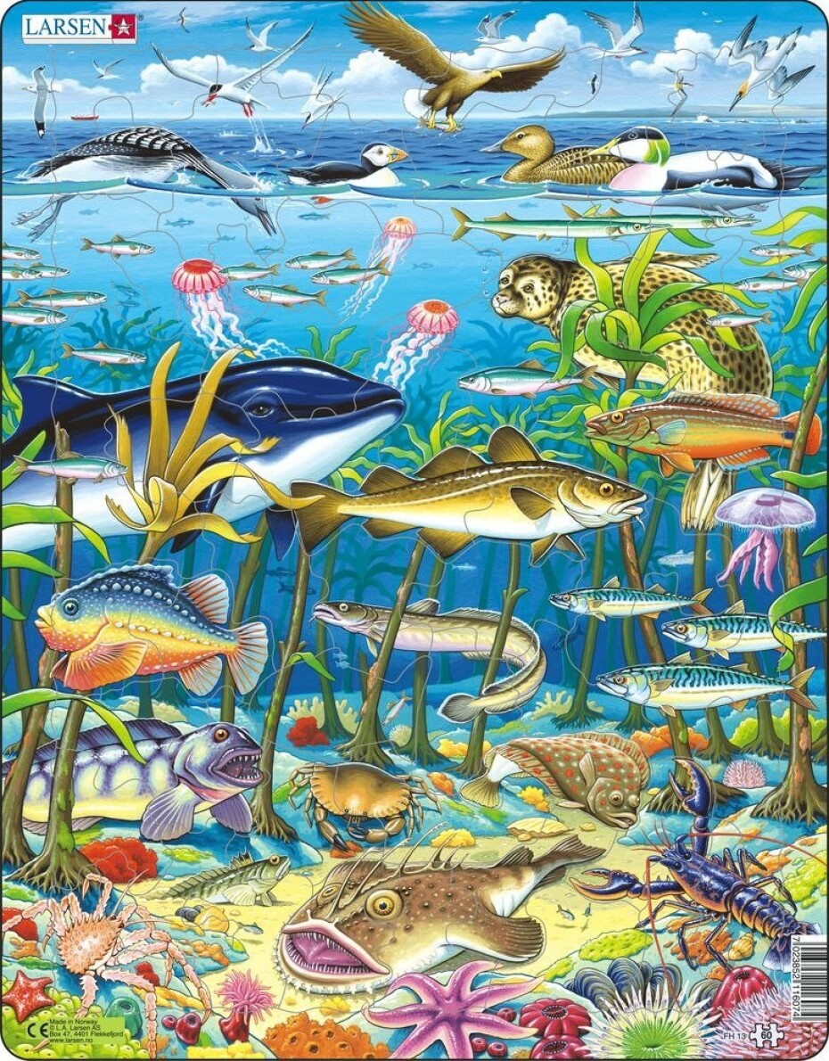 Puzzle MAXI - Zvířata v moři/60 dílků, 1.  vydání - Kohoutová PROCOS - main (0)