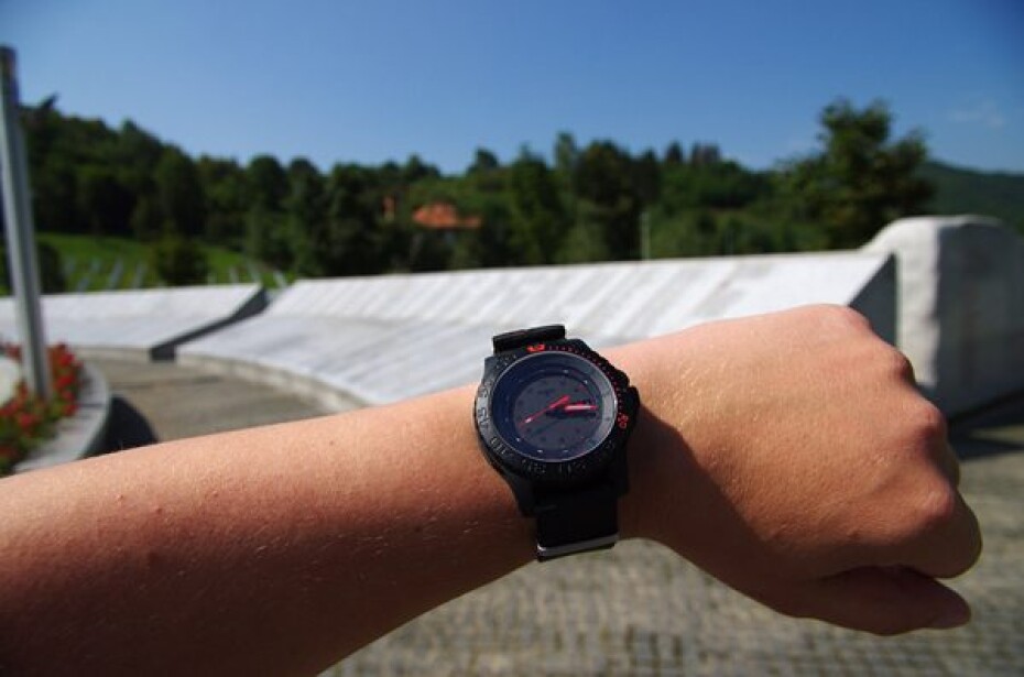 Traser P6600 Red Combat nato - main (16)