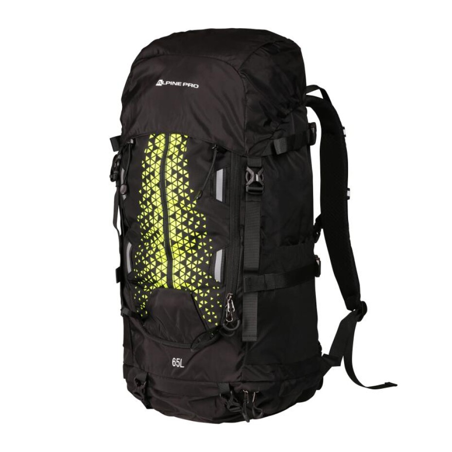 Alpine Pro PIGE - main (0)