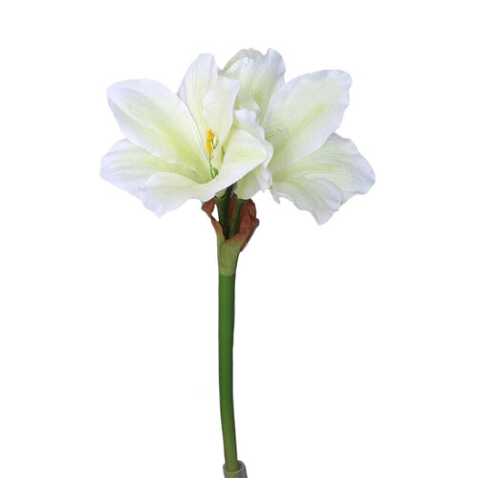 Umělá Amarylis bílozelená, 52 cm - main (0)