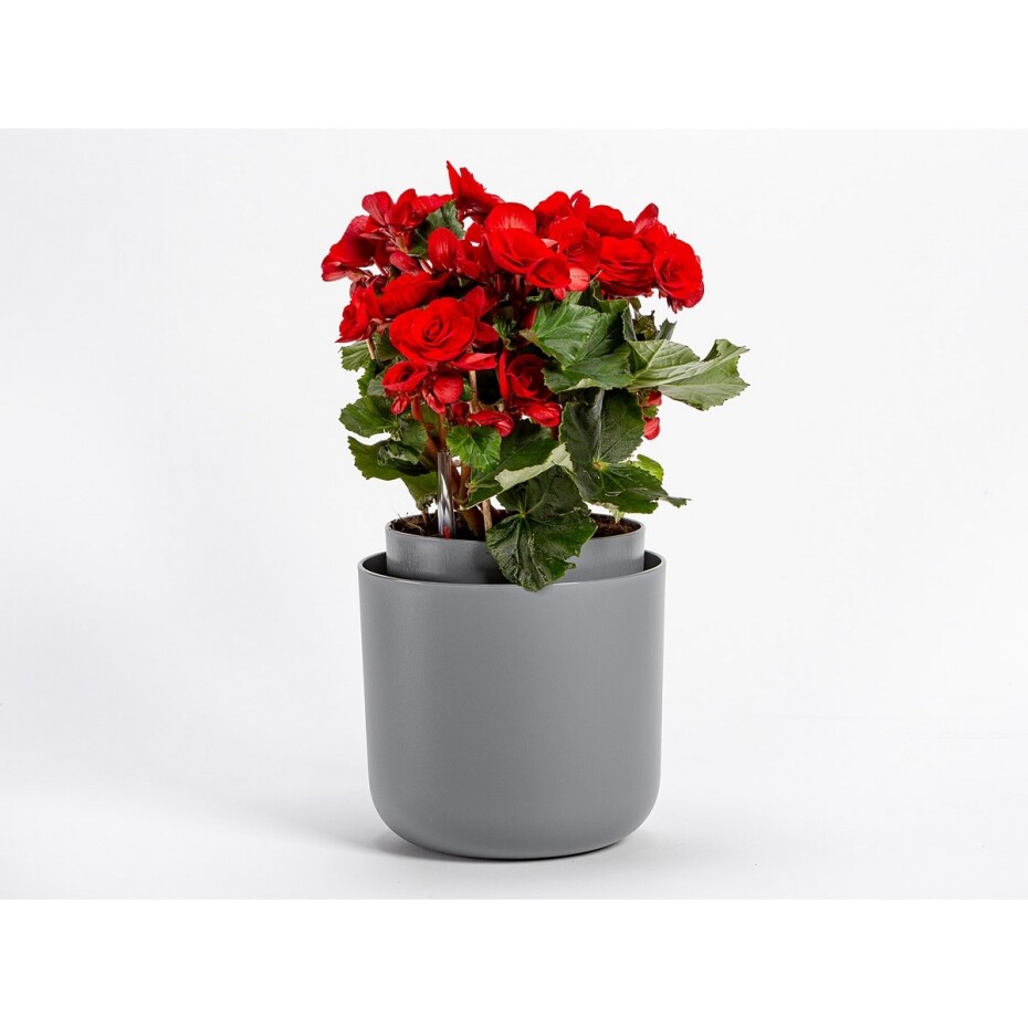 Plastia Samozavlažovací květináč Tolita šedá, pr. 16 cm - main (2)