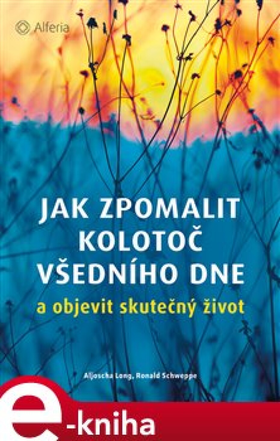 Jak zpomalit kolotoč všedního dne - Aljoscha Long, Ronald P. Schweppe - main (0)