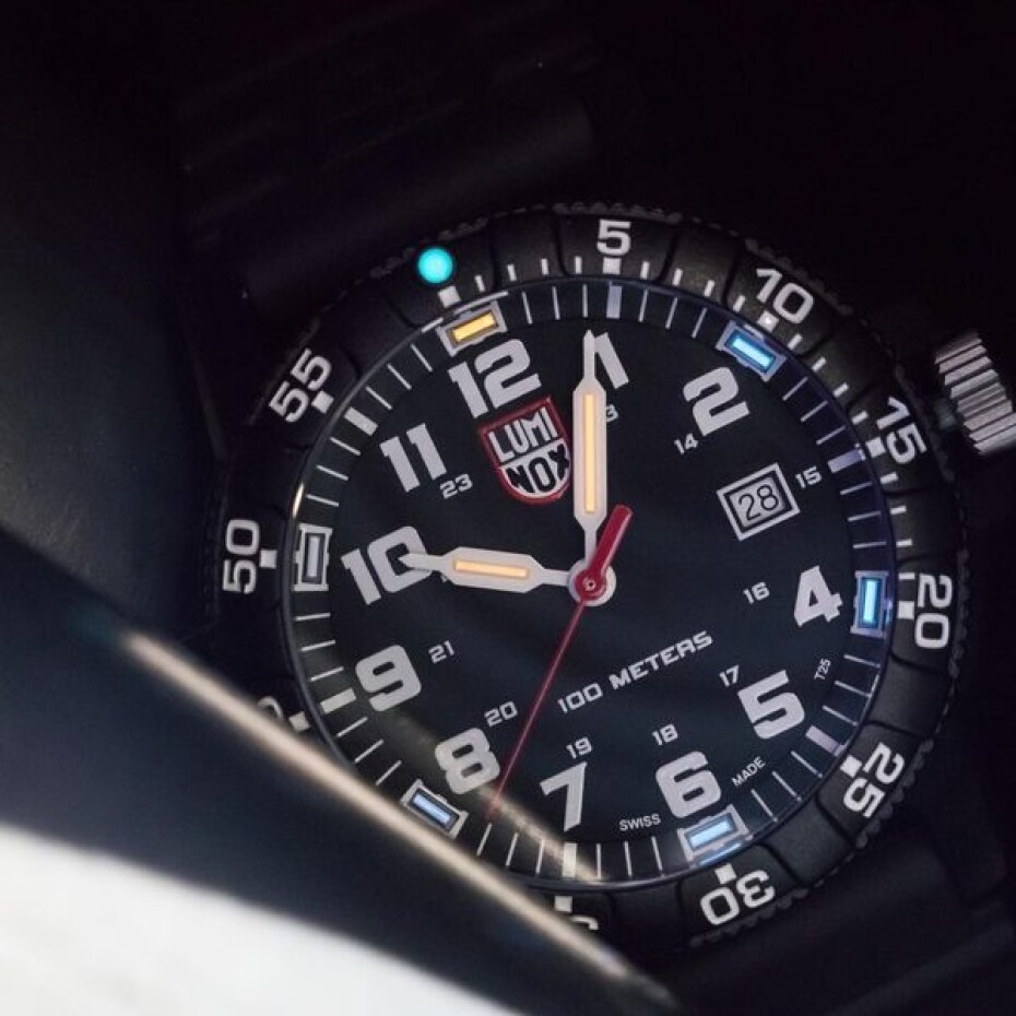 Luminox 0301 - main (11)