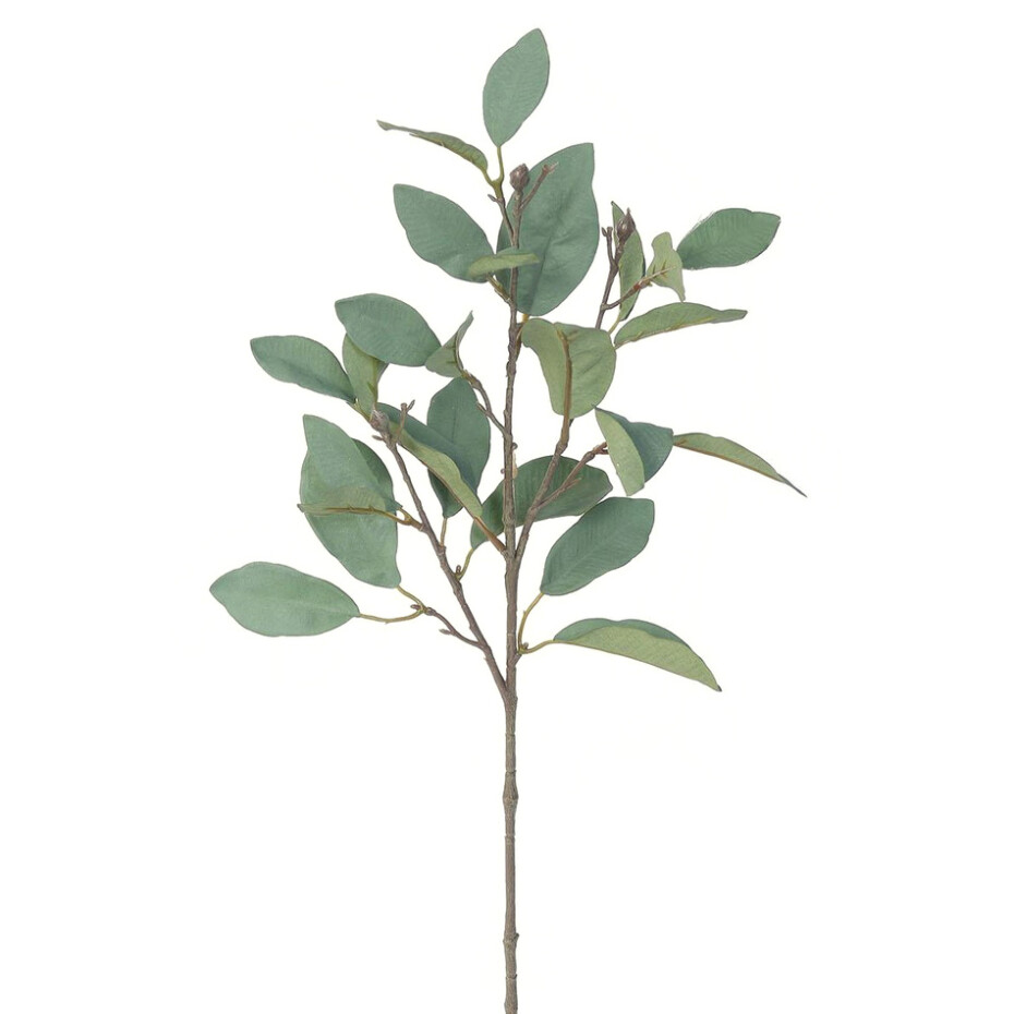 Umělá větev Magnolie zeleno-šedá, 62 cm - main (0)