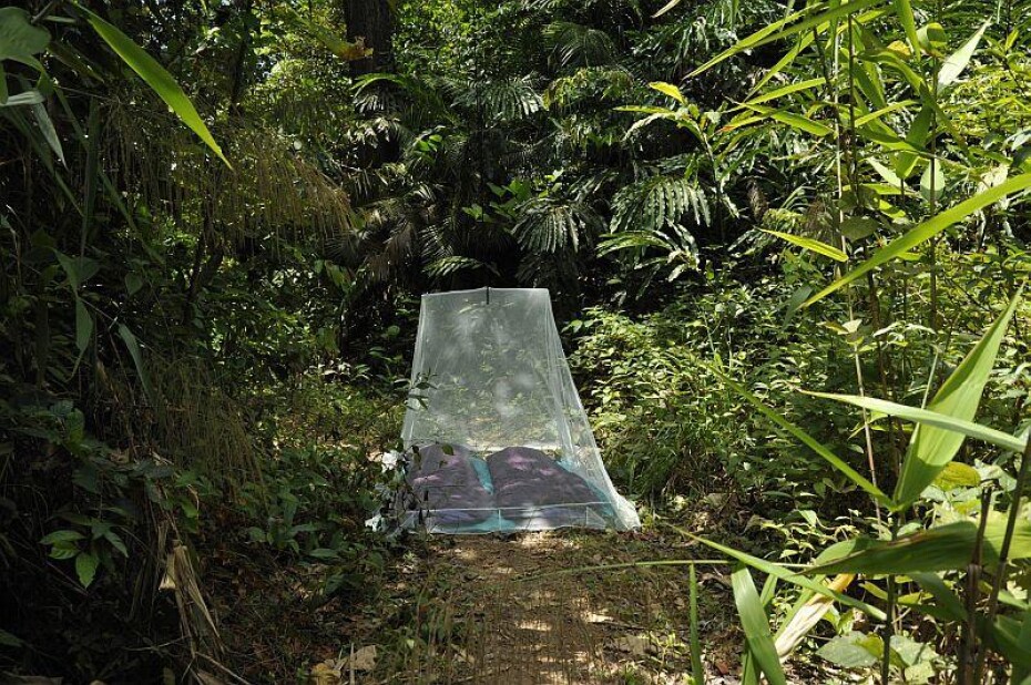 Cocoon outdoorová moskytéra Outdoor Net double - main (0)