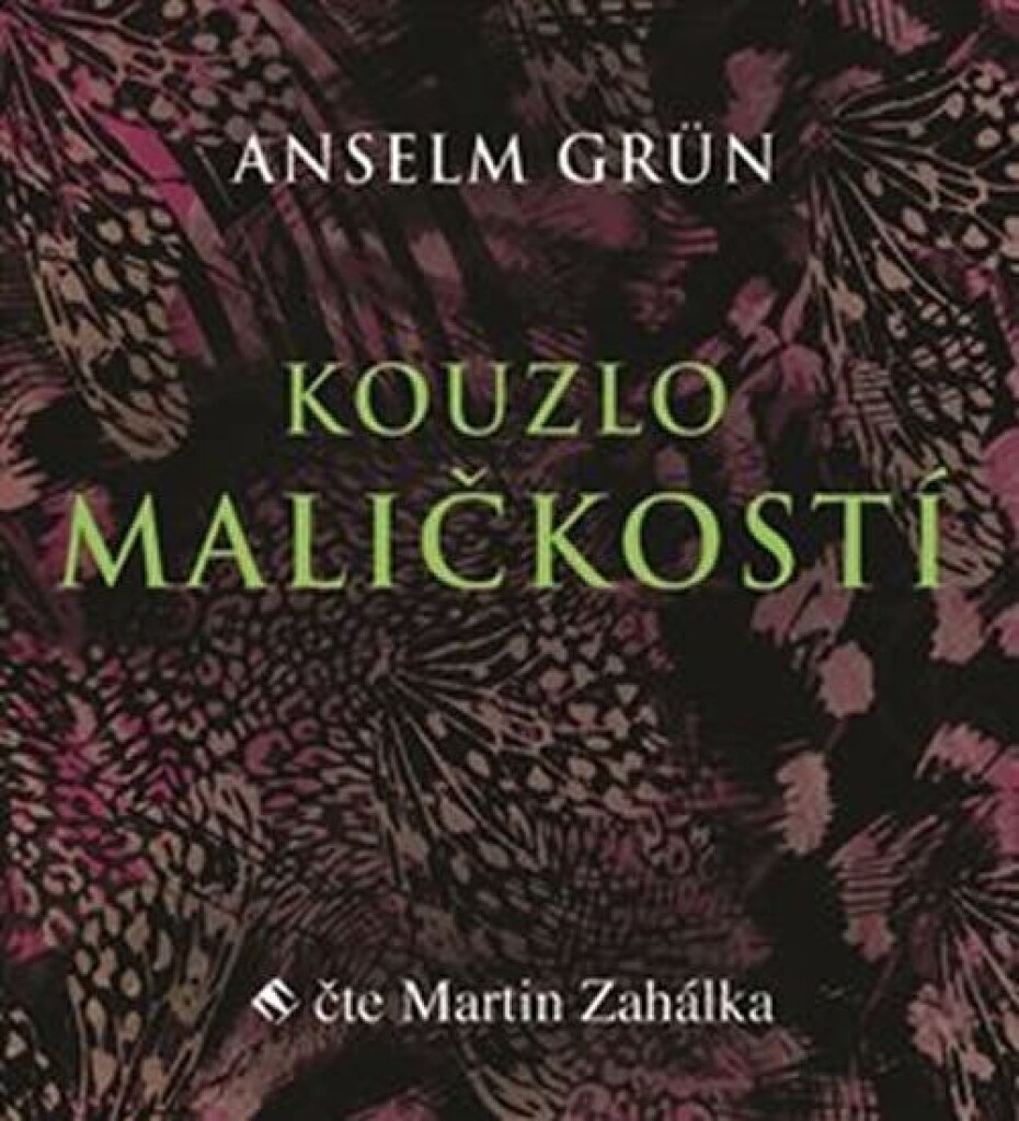 Kouzlo maličkostí - Radost z maličkosti všedního dnes je základem naplněného života -  - CDmp3 (Čte Martin Zahálka) - Anselm Grün - main (0)