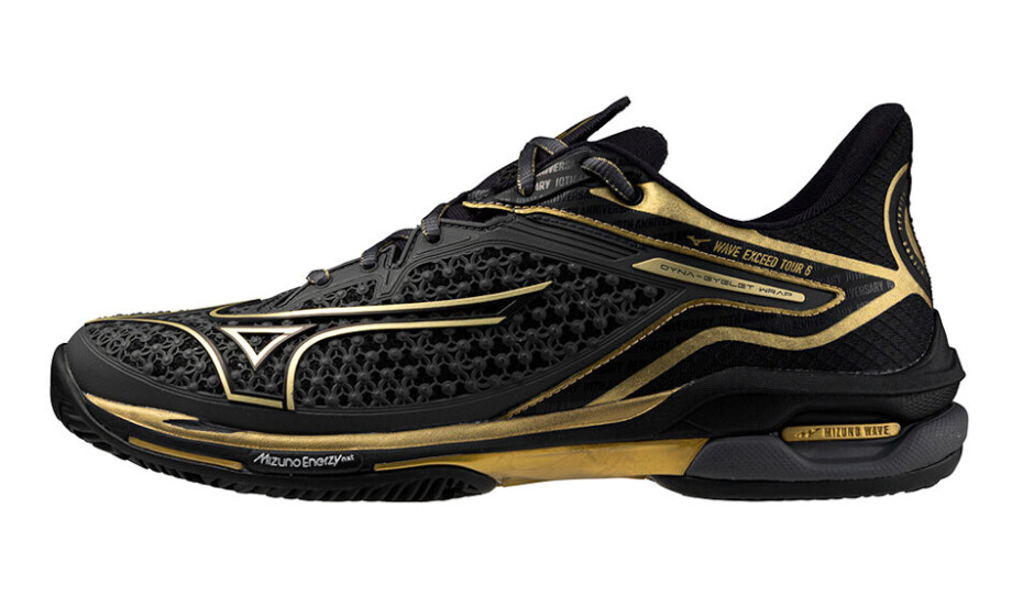 Pánská tenisová obuv Mizuno Wave Exceed TOUR 6 CC 10th Iron Gate/Gold/Black  EUR 45 - main (0)