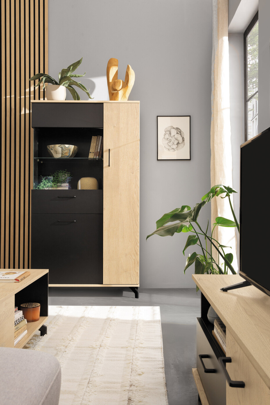 Meblar Vitrína MADISON MD6 Barva: černá / dub biskoptovy - main (4)