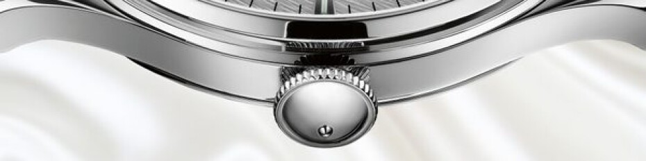 Ball Trainmaster Eternity Ladies NL2080D-SJ-SL - main (6)