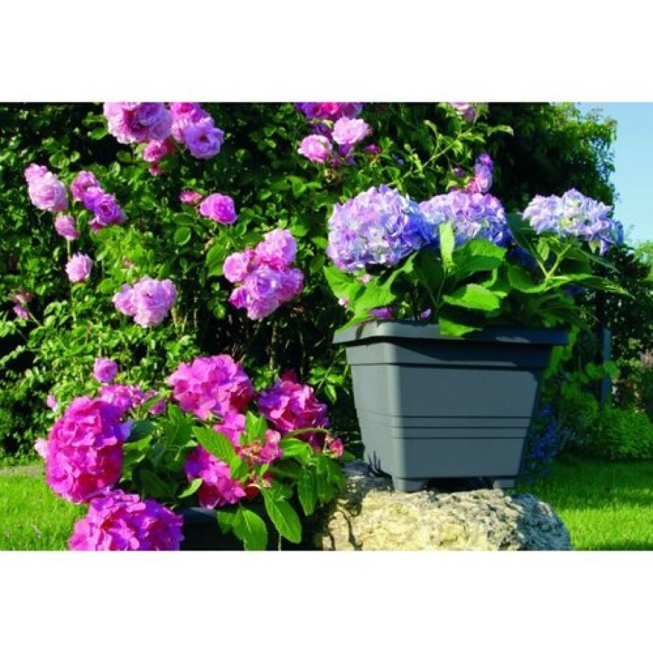 Plastia Květináč samozavlažovací BERGAMOT, antracit - main (3)