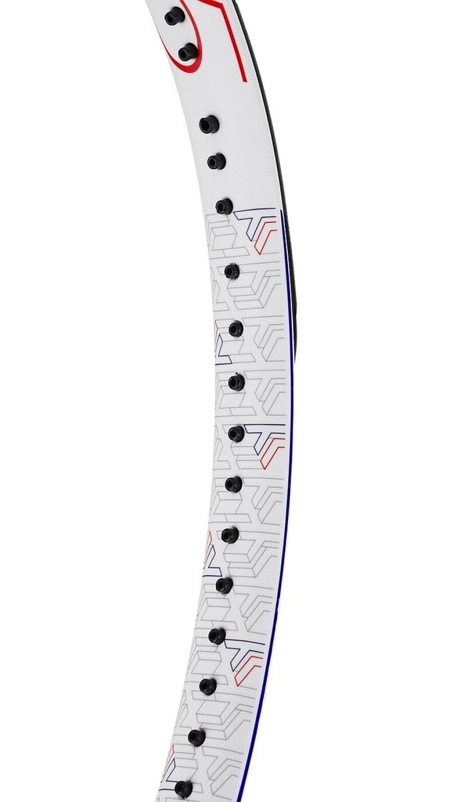 Tenisová raketa Tecnifibre T-Fight RS 315  L2 - main (3)