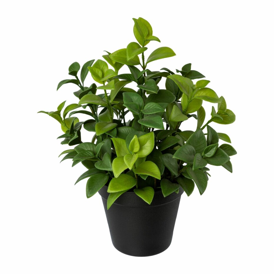 Umělý fíkus v květináči, v. 28 cm - main (0)