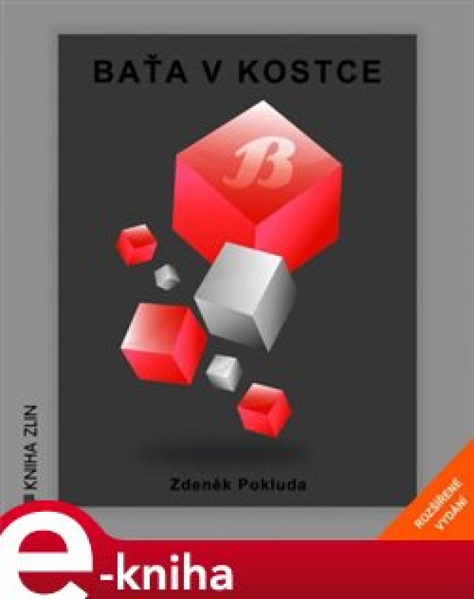 Baťa v kostce - Zdeněk Pokluda - main (0)