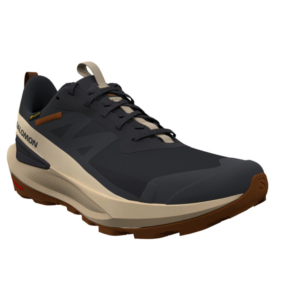 Pánská outdoorová obuv Salomon Elixir Activ Gore-Tex Phantom/Safari/Caramel Cafe  UK 9,5 - main (3)