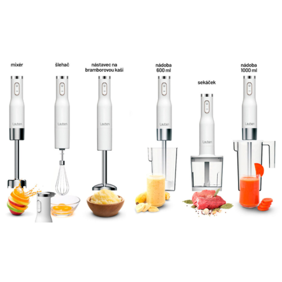 Lauben Stick Blender 800AT - main (3)