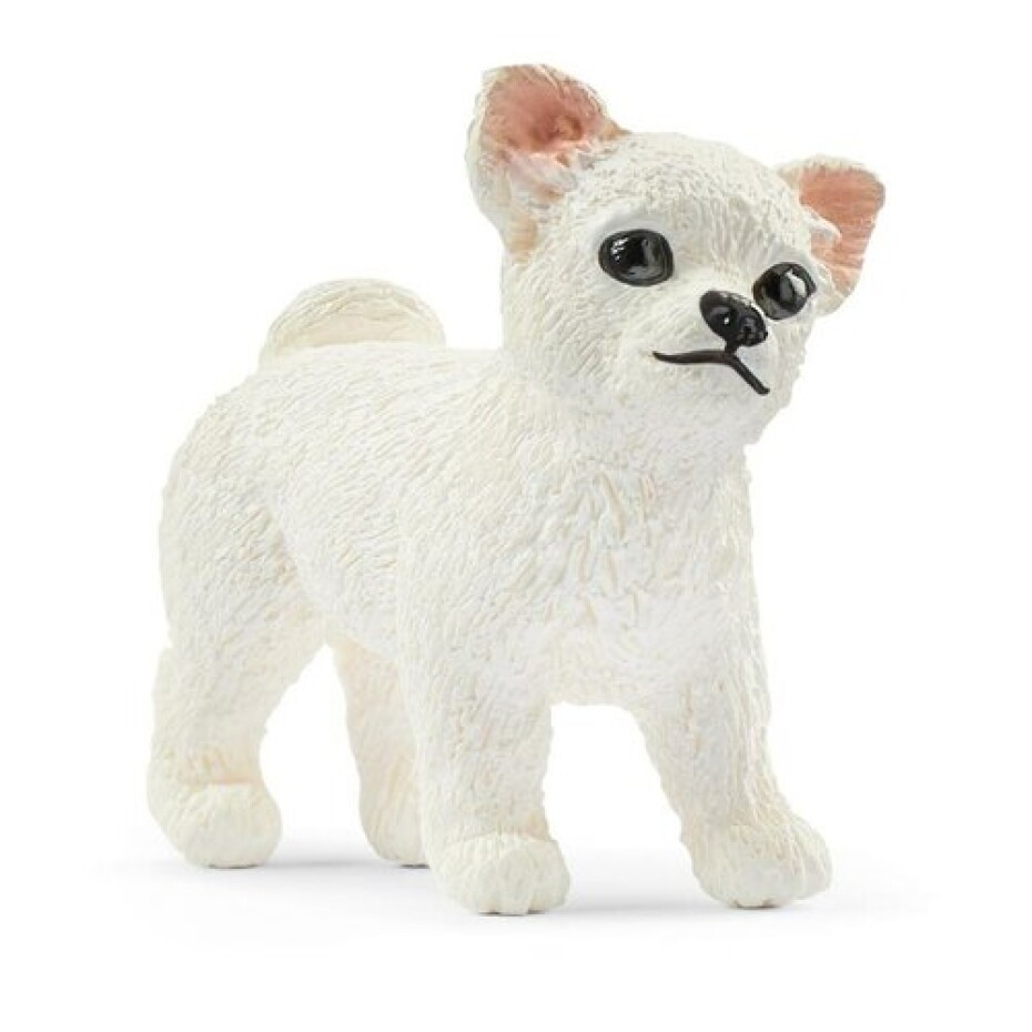 Schleich 42467 Kočár pro koňskou show, 24,5 x 19 x 6,6 cm - main (8)