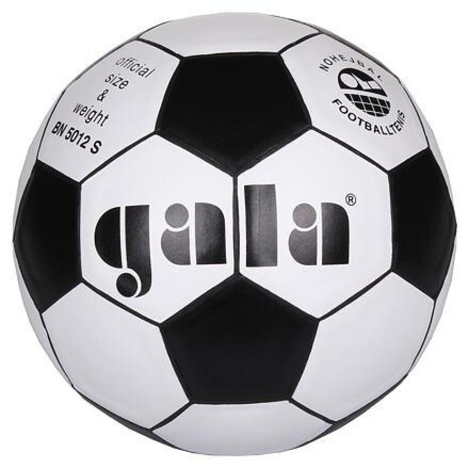 Gala BN 5012S míč na nohejbal - main (0)