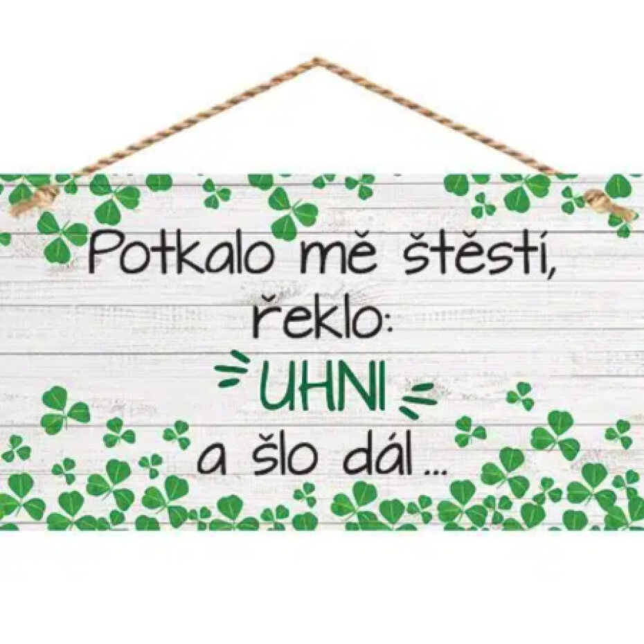 Bohemia Gifts Dekorační obrázek na zavěšení - Štěstí - main (0)