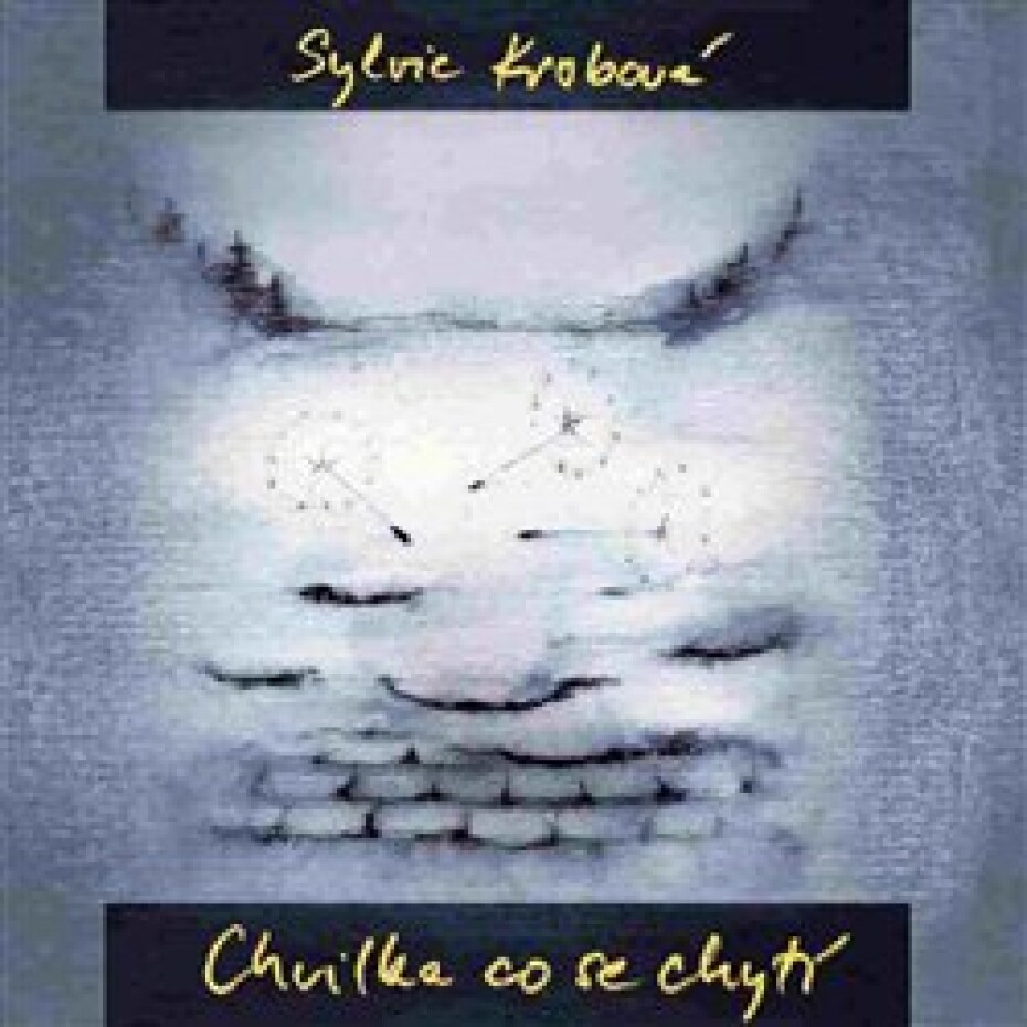 Chvilka, která se chytí - Sylvie Krobová - main (0)