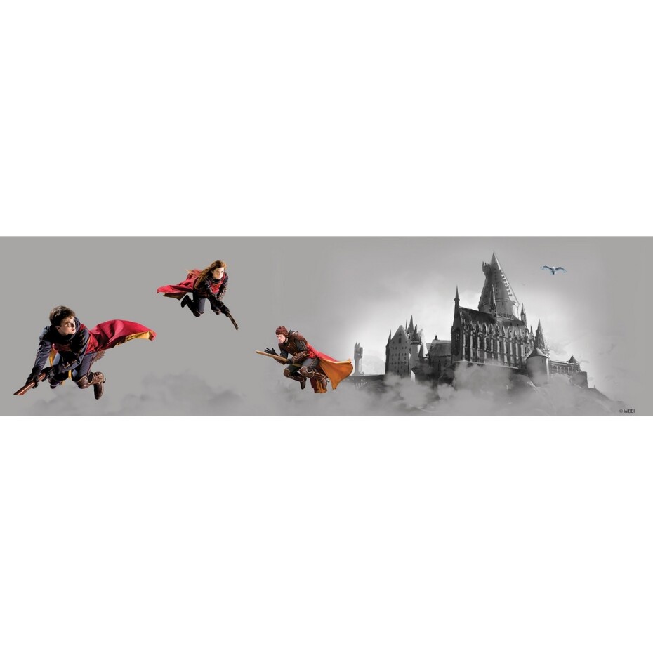 Samolepicí bordura Harry Potter Famfrpál, 500 x 9,7 cm - main (0)