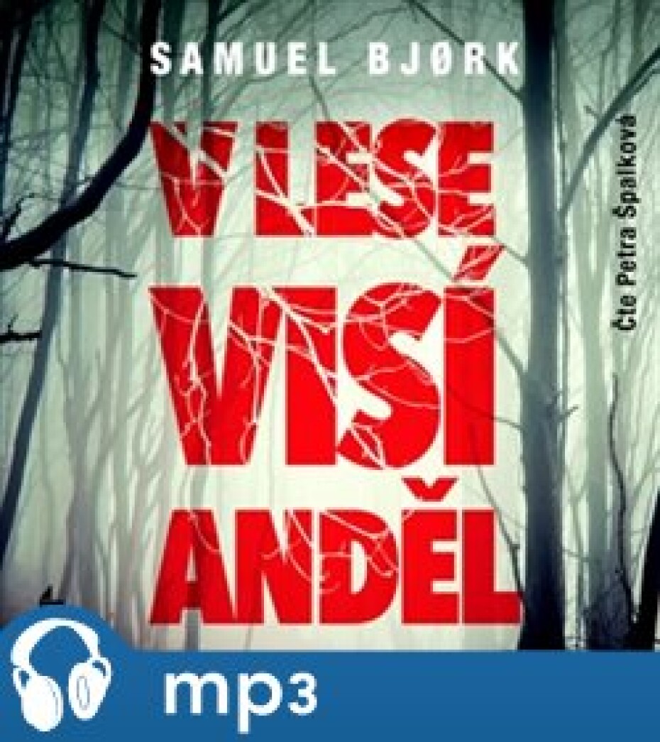 V lese visí anděl, mp3 - Samuel Bjork - main (0)