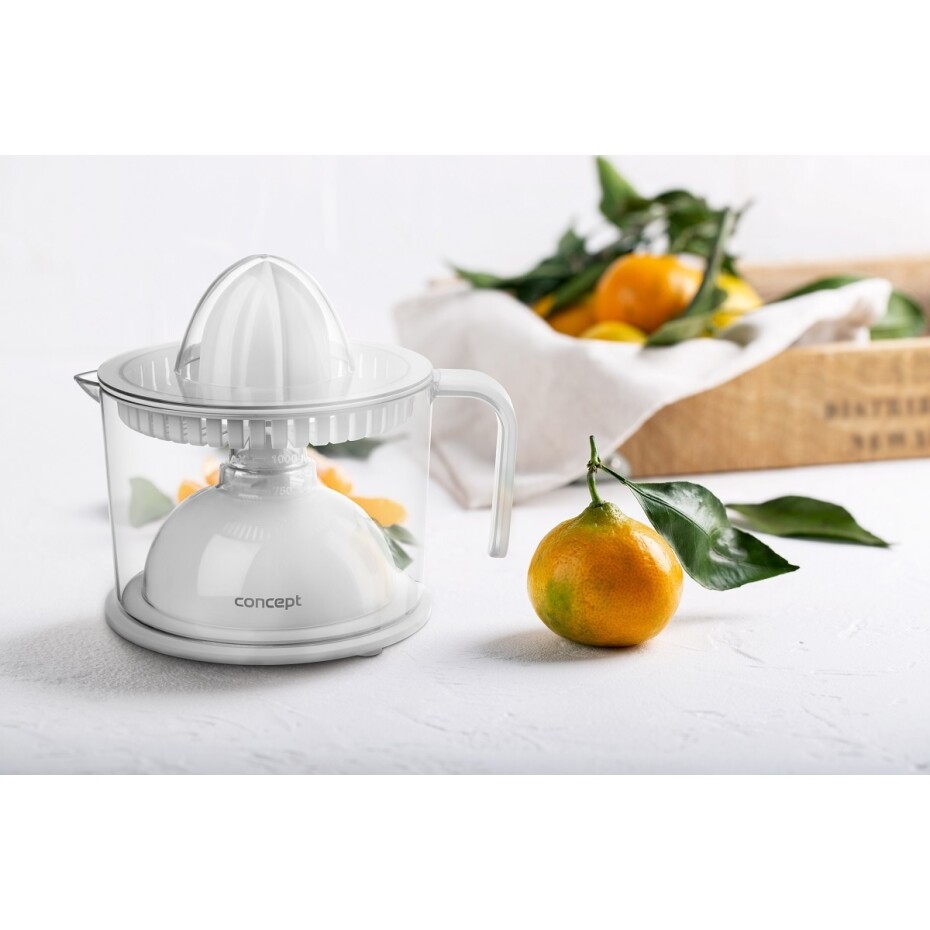 Concept CE3540 lis na citrusy - main (7)
